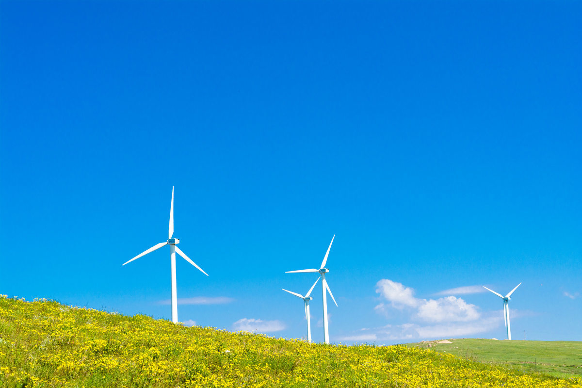 史作廷：努力推動實現碳達峰碳中和目標